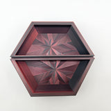 Dual Hex